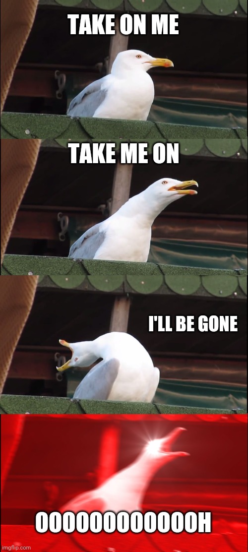 Take On Me | TAKE ON ME; TAKE ME ON; I'LL BE GONE; OOOOOOOOOOOOH | image tagged in memes,inhaling seagull | made w/ Imgflip meme maker