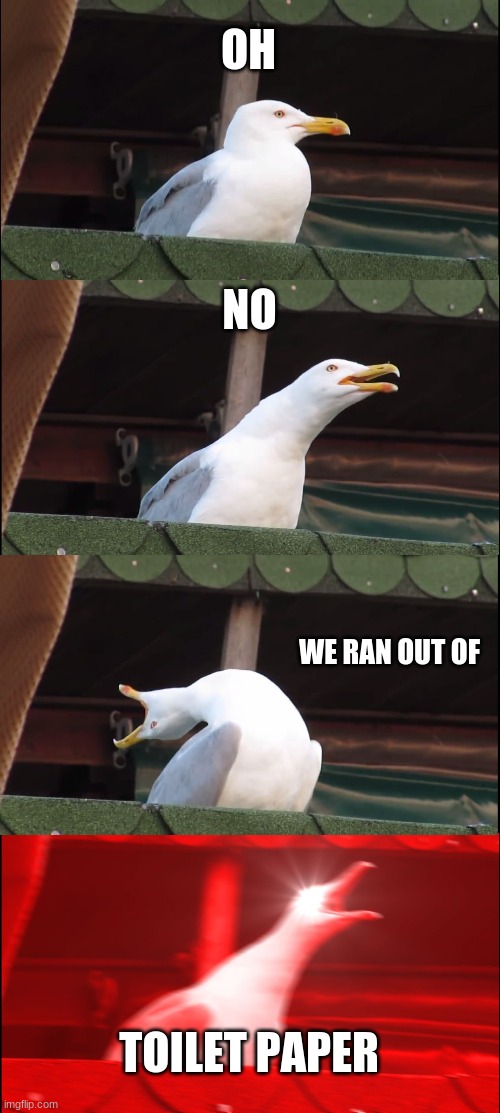 oof | OH; NO; WE RAN OUT OF; TOILET PAPER | image tagged in memes,inhaling seagull | made w/ Imgflip meme maker