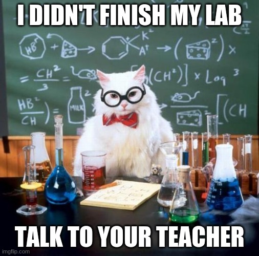 Safety Science Lab | I DIDN'T FINISH MY LAB; TALK TO YOUR TEACHER | image tagged in memes,chemistry cat | made w/ Imgflip meme maker