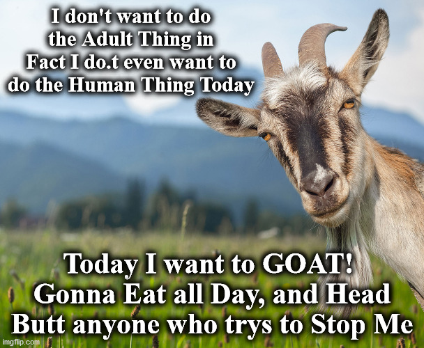 goat | I don't want to do the Adult Thing in Fact I do.t even want to do the Human Thing Today; Today I want to GOAT! 
Gonna Eat all Day, and Head Butt anyone who trys to Stop Me | image tagged in goat | made w/ Imgflip meme maker