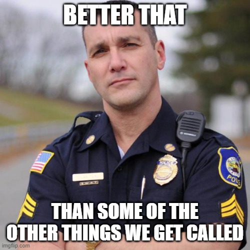 Cop | BETTER THAT THAN SOME OF THE OTHER THINGS WE GET CALLED | image tagged in cop | made w/ Imgflip meme maker