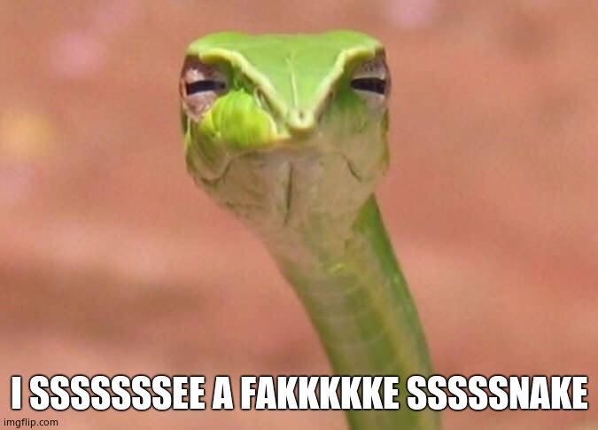 Skeptical snake | I SSSSSSSEE A FAKKKKKE SSSSSNAKE | image tagged in skeptical snake | made w/ Imgflip meme maker