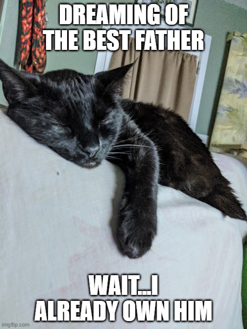 FathersDay | DREAMING OF THE BEST FATHER; WAIT...I ALREADY OWN HIM | image tagged in cinders_dreaming | made w/ Imgflip meme maker