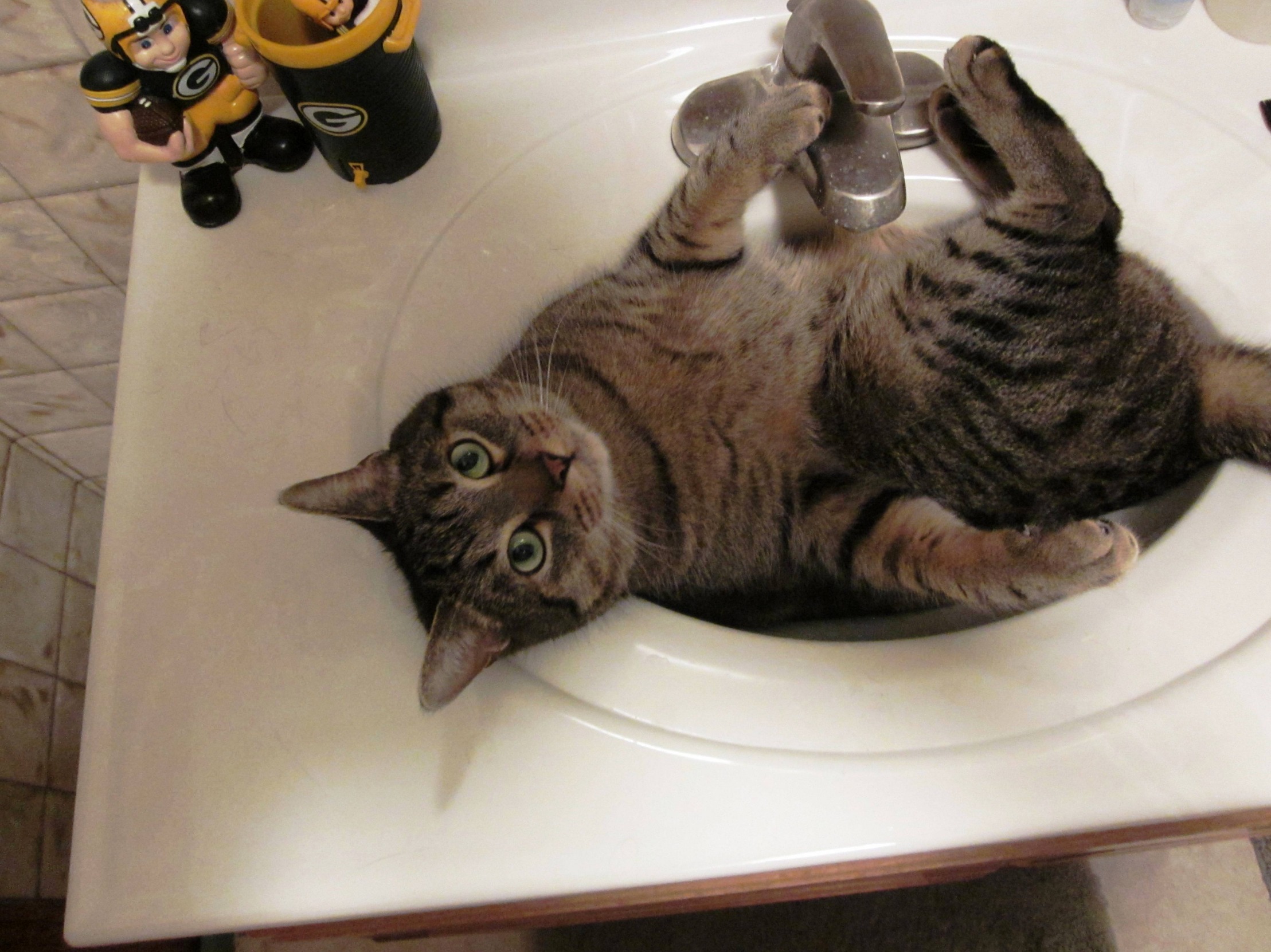 Artemis_sink Blank Meme Template
