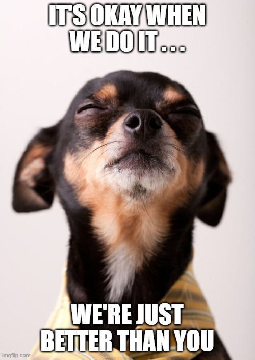 Arrogant dog | IT'S OKAY WHEN WE DO IT . . . WE'RE JUST BETTER THAN YOU | image tagged in arrogant dog | made w/ Imgflip meme maker