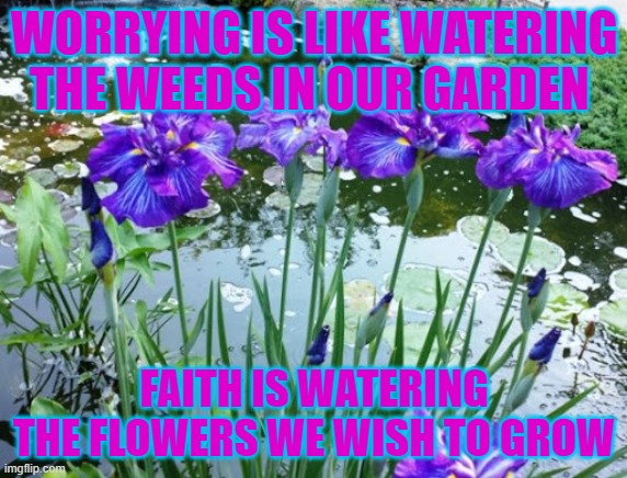 Dream Dreams Into Existence | WORRYING IS LIKE WATERING THE WEEDS IN OUR GARDEN; FAITH IS WATERING THE FLOWERS WE WISH TO GROW | image tagged in inspirational quotes,inspire the people,beauty | made w/ Imgflip meme maker