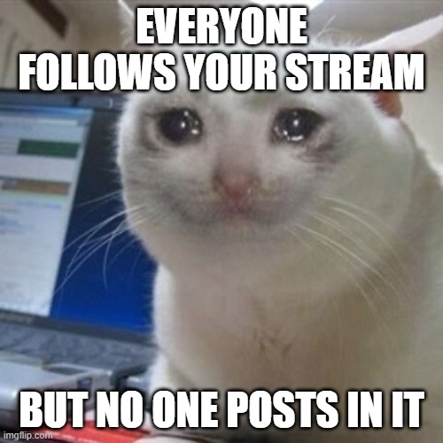 Crying cat | EVERYONE FOLLOWS YOUR STREAM; BUT NO ONE POSTS IN IT | image tagged in crying cat | made w/ Imgflip meme maker