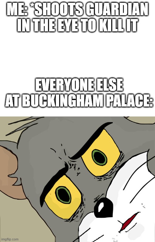 ME: *SHOOTS GUARDIAN IN THE EYE TO KILL IT; EVERYONE ELSE AT BUCKINGHAM PALACE: | image tagged in blank white template,memes,unsettled tom | made w/ Imgflip meme maker