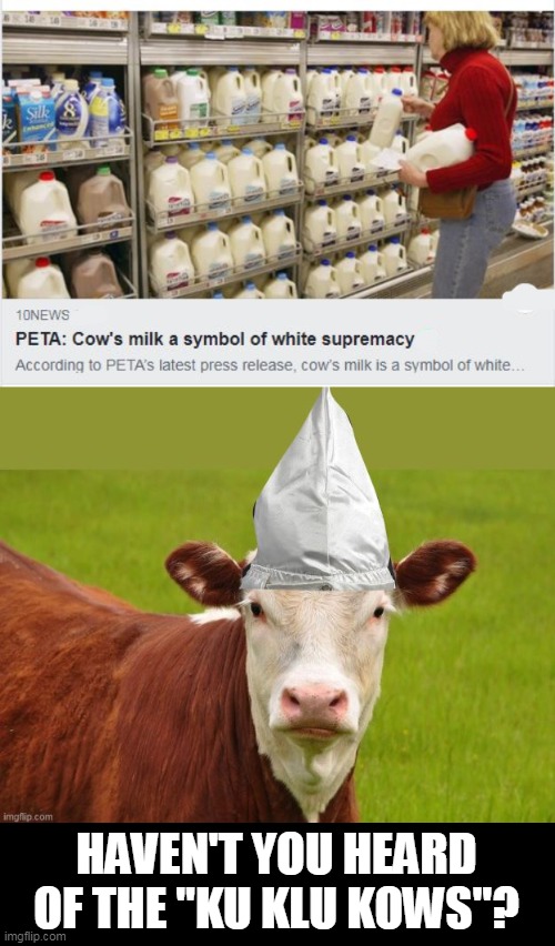 Ku Klux Kows -  Milk is Racist ! | HAVEN'T YOU HEARD OF THE "KU KLU KOWS"? | image tagged in politics,racist,evil cows,peta | made w/ Imgflip meme maker