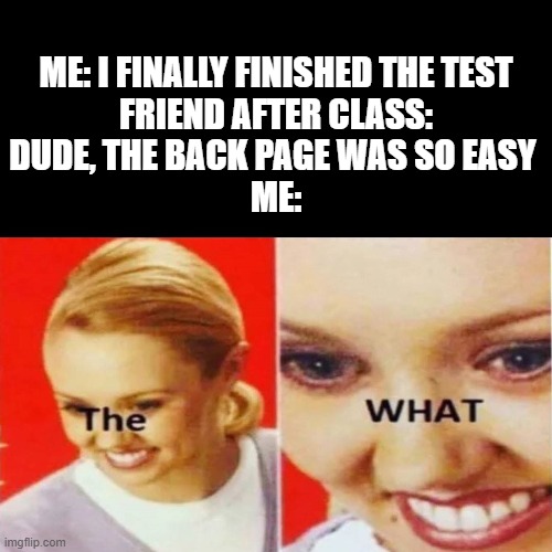 Welcome to my world | ME: I FINALLY FINISHED THE TEST

FRIEND AFTER CLASS: DUDE, THE BACK PAGE WAS SO EASY 
ME: | image tagged in the what | made w/ Imgflip meme maker