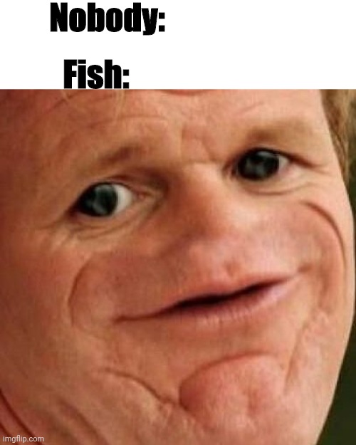 SOSIG |  Nobody:; Fish: | image tagged in sosig | made w/ Imgflip meme maker