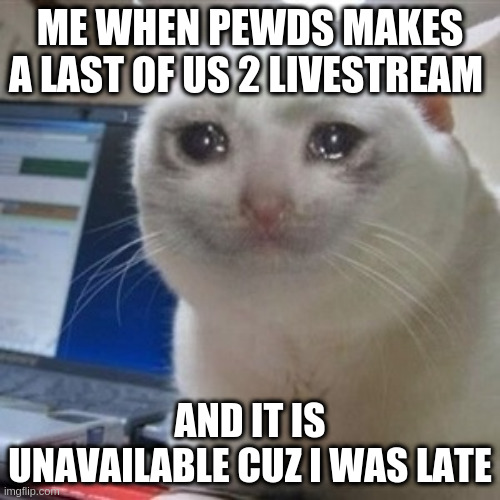 Whyyyyyyyyy, I was just late a bit | ME WHEN PEWDS MAKES A LAST OF US 2 LIVESTREAM; AND IT IS UNAVAILABLE CUZ I WAS LATE | image tagged in crying cat | made w/ Imgflip meme maker