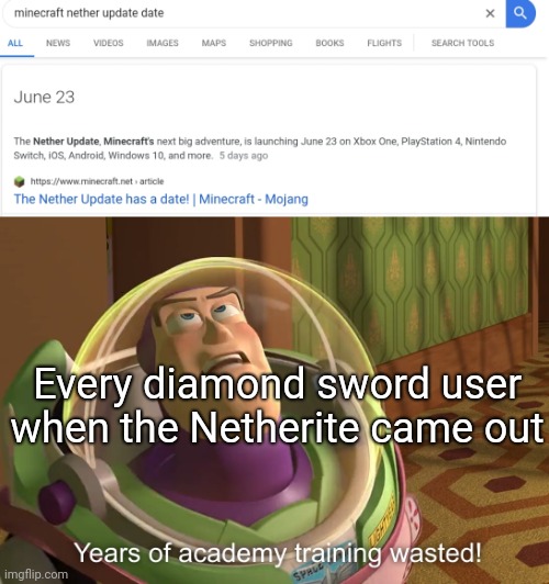 Netherite is stronger than diamonds, which means that years of using Diamond swords were wasted. | Every diamond sword user when the Netherite came out | image tagged in years of academy training wasted | made w/ Imgflip meme maker