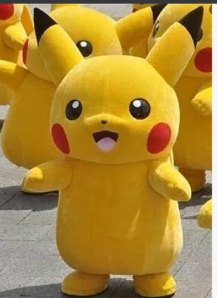 High Quality Pikameme Blank Meme Template