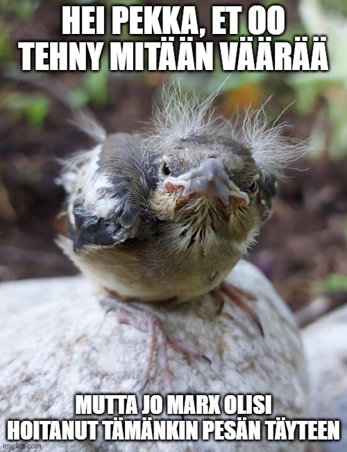 HEI PEKKA, ET OO TEHNY MITÄÄN VÄÄRÄÄ; MUTTA JO MARX OLISI HOITANUT TÄMÄNKIN PESÄN TÄYTEEN | made w/ Imgflip meme maker