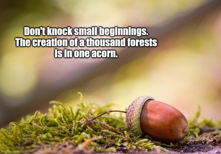 Don't knock small beginnings.
The creation of a thousand forests
is in one acorn. | image tagged in inspirational | made w/ Imgflip meme maker