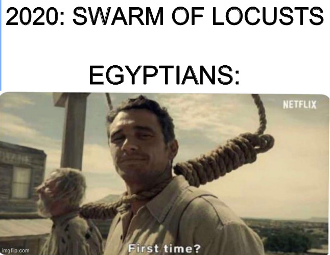 Locust swarm | 2020: SWARM OF LOCUSTS EGYPTIANS: | image tagged in first time,2020,plague | made w/ Imgflip meme maker