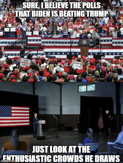 Trump v Biden | SURE, I BELIEVE THE POLLS THAT BIDEN IS BEATING TRUMP; JUST LOOK AT THE ENTHUSIASTIC CROWDS HE DRAWS | image tagged in donald trump | made w/ Imgflip meme maker