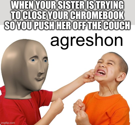 True story | WHEN YOUR SISTER IS TRYING TO CLOSE YOUR CHROMEBOOK SO YOU PUSH HER OFF THE COUCH | image tagged in meme man aggression | made w/ Imgflip meme maker