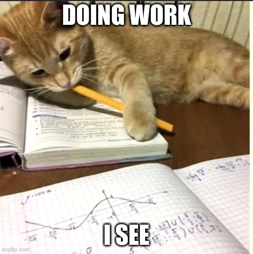 That cat likes math | DOING WORK; I SEE | image tagged in cat,math | made w/ Imgflip meme maker