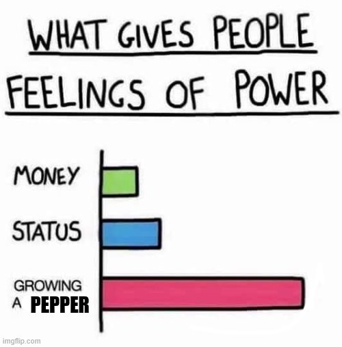 gardening | PEPPER | image tagged in funny | made w/ Imgflip meme maker