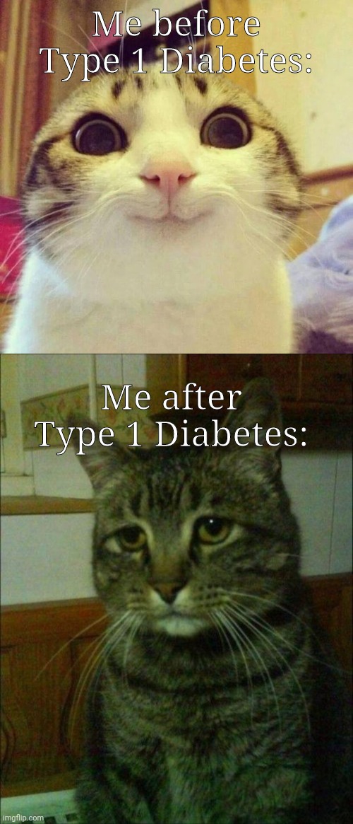 Me before Type 1 Diabetes:; Me after Type 1 Diabetes: | image tagged in memes,depressed cat,smiling cat | made w/ Imgflip meme maker