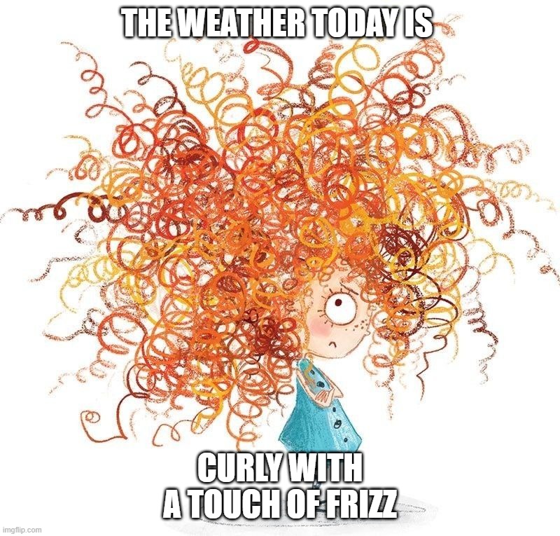 curly hair |  THE WEATHER TODAY IS; CURLY WITH A TOUCH OF FRIZZ | image tagged in humid,curly hair | made w/ Imgflip meme maker