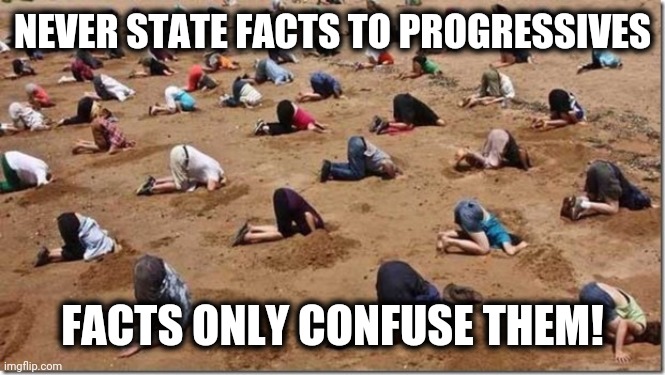 Head in sand | NEVER STATE FACTS TO PROGRESSIVES FACTS ONLY CONFUSE THEM! | image tagged in head in sand | made w/ Imgflip meme maker