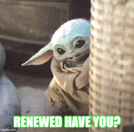 renew baby yoda | RENEWED HAVE YOU? | image tagged in hiding baby yoda | made w/ Imgflip meme maker