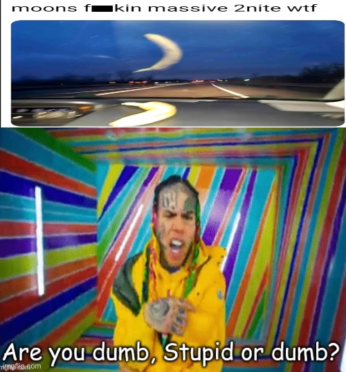 are-you-dumb-stupid-or-dumb-imgflip