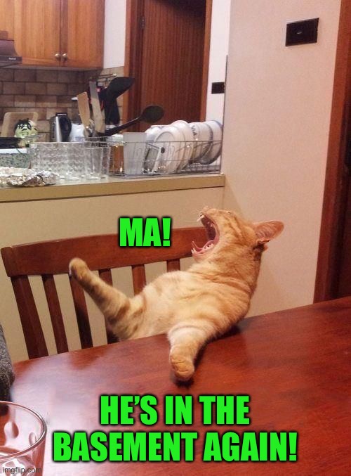 Ma the meatloaf cat | MA! HE’S IN THE BASEMENT AGAIN! | image tagged in ma the meatloaf cat | made w/ Imgflip meme maker