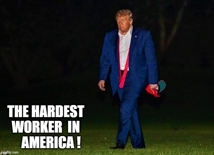 The Hardest worker in America! | THE HARDEST WORKER  IN     AMERICA ! | image tagged in meme,trump,america,hard work | made w/ Imgflip meme maker