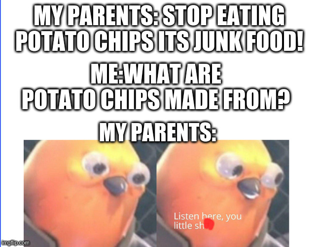 Big brainz | MY PARENTS: STOP EATING POTATO CHIPS ITS JUNK FOOD! ME:WHAT ARE POTATO CHIPS MADE FROM? MY PARENTS: | image tagged in listen here you little shit | made w/ Imgflip meme maker
