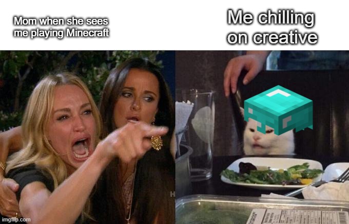 Woman Screaming at Cat | Me chilling on creative; Mom when she sees me playing Minecraft | image tagged in memes,woman yelling at cat,minecraft | made w/ Imgflip meme maker