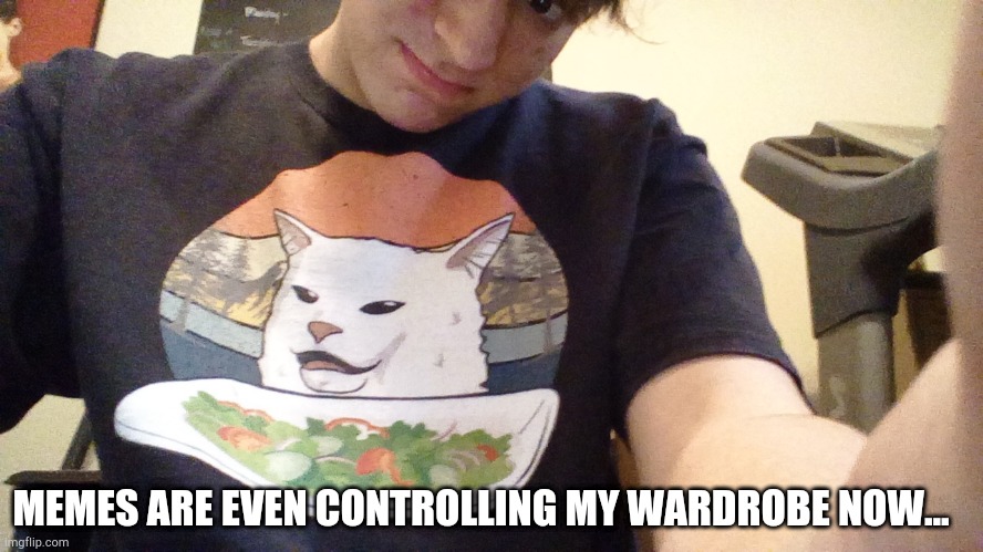 I have a smudge the cat shirt! | MEMES ARE EVEN CONTROLLING MY WARDROBE NOW... | image tagged in smudge the cat,shirts | made w/ Imgflip meme maker