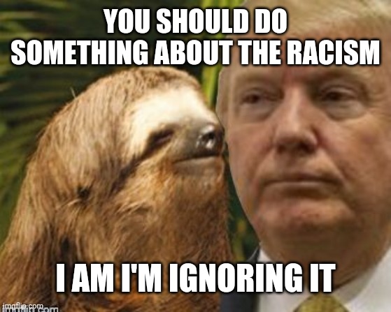 Political advice sloth | YOU SHOULD DO SOMETHING ABOUT THE RACISM; I AM I'M IGNORING IT | image tagged in political advice sloth | made w/ Imgflip meme maker