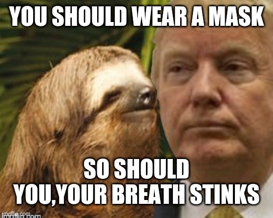 Political advice sloth | YOU SHOULD WEAR A MASK; SO SHOULD YOU,YOUR BREATH STINKS | image tagged in political advice sloth | made w/ Imgflip meme maker