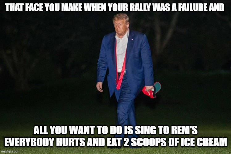 that face you make | THAT FACE YOU MAKE WHEN YOUR RALLY WAS A FAILURE AND; ALL YOU WANT TO DO IS SING TO REM'S EVERYBODY HURTS AND EAT 2 SCOOPS OF ICE CREAM | image tagged in donald trump is an idiot | made w/ Imgflip meme maker