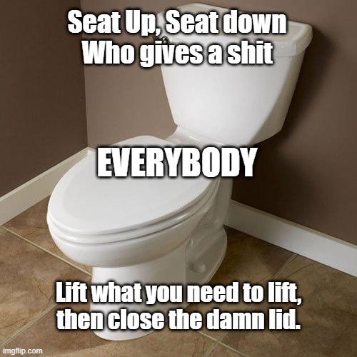 Seat Up Seat Down | Seat Up, Seat down
Who gives a shit; EVERYBODY; Lift what you need to lift,
then close the damn lid. | image tagged in toilet,toilet seat | made w/ Imgflip meme maker