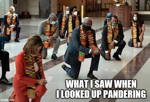 Pandering | WHAT I SAW WHEN I LOOKED UP PANDERING | image tagged in pandering,democrats,liberals | made w/ Imgflip meme maker