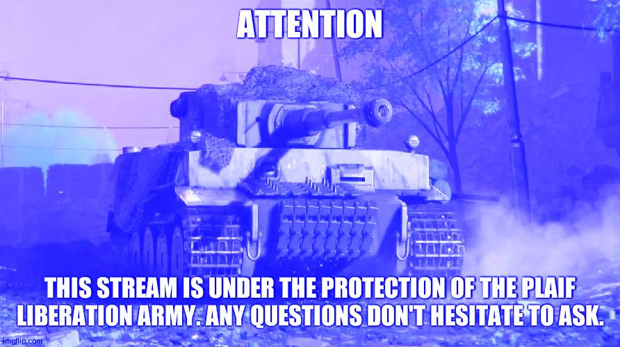 May I have a moment? | ATTENTION; THIS STREAM IS UNDER THE PROTECTION OF THE PLAIF LIBERATION ARMY. ANY QUESTIONS DON'T HESITATE TO ASK. | image tagged in tiger 237 | made w/ Imgflip meme maker