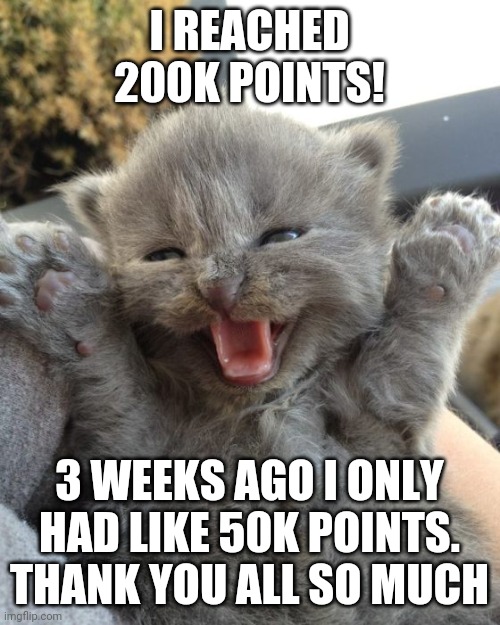 Yay Kitty | I REACHED 200K POINTS! 3 WEEKS AGO I ONLY HAD LIKE 50K POINTS. THANK YOU ALL SO MUCH | image tagged in yay kitty | made w/ Imgflip meme maker