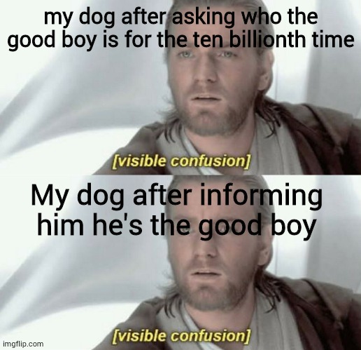 my dog after asking who the good boy is for the ten billionth time; My dog after informing him he's the good boy | image tagged in visible confusion | made w/ Imgflip meme maker