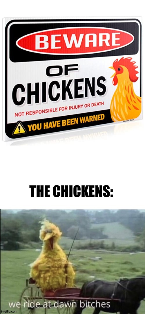 We ride at dawn... | THE CHICKENS: | image tagged in we ride at dawn bitches | made w/ Imgflip meme maker