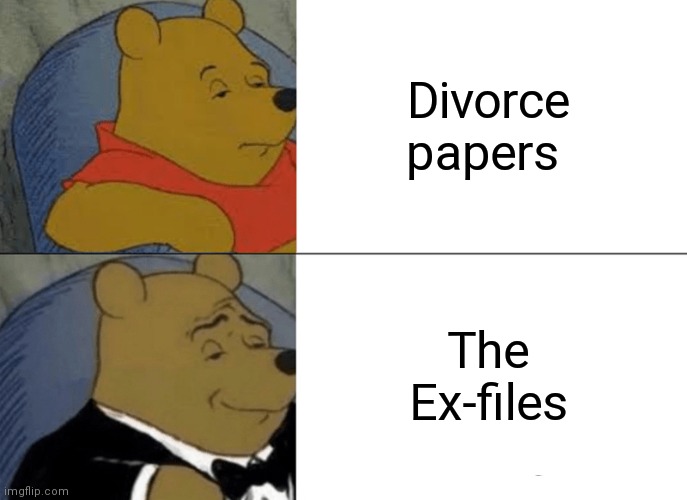 Tuxedo Winnie The Pooh | Divorce papers; The Ex-files | image tagged in memes,tuxedo winnie the pooh | made w/ Imgflip meme maker