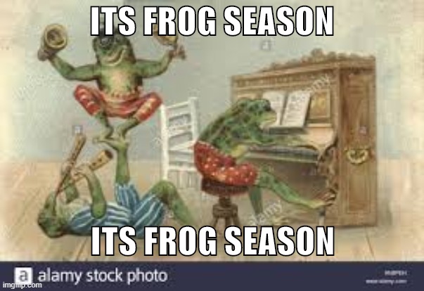 FROG | ITS FROG SEASON; ITS FROG SEASON | image tagged in frog | made w/ Imgflip meme maker