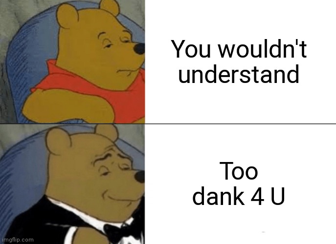 Tuxedo Winnie The Pooh | You wouldn't understand; Too dank 4 U | image tagged in memes,tuxedo winnie the pooh | made w/ Imgflip meme maker