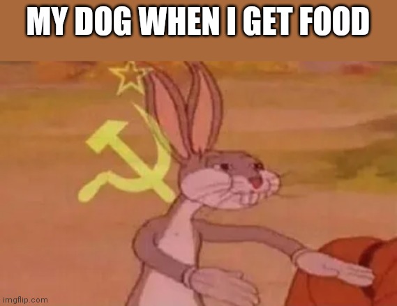 Bugs bunny communist | MY DOG WHEN I GET FOOD | image tagged in bugs bunny communist | made w/ Imgflip meme maker