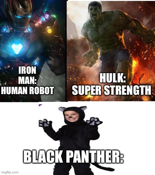 Panther | image tagged in superheros,funny memes,black panther | made w/ Imgflip meme maker