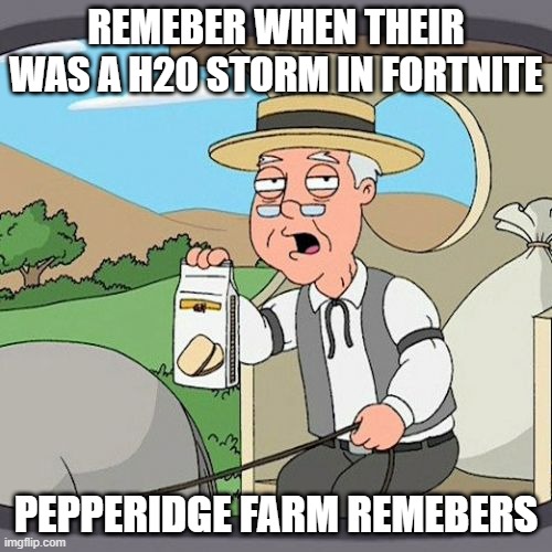 It was only out for 2 days tho | REMEBER WHEN THEIR WAS A H20 STORM IN FORTNITE; PEPPERIDGE FARM REMEBERS | image tagged in memes,pepperidge farm remembers | made w/ Imgflip meme maker